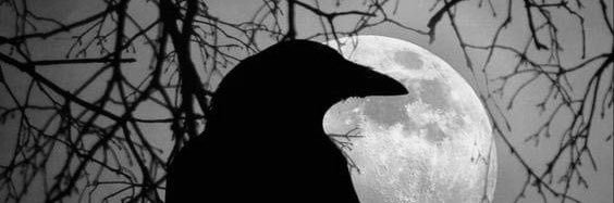 Lenore banner
