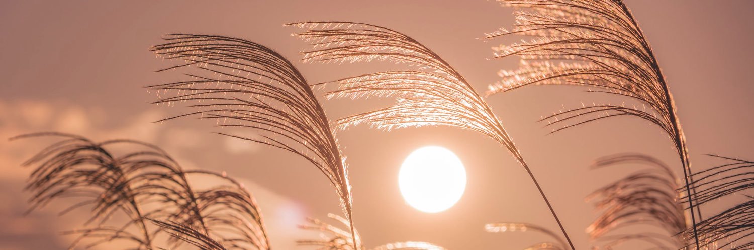 aorcharat's profile banner image