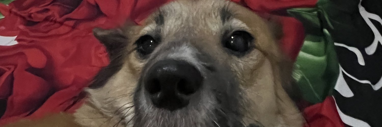 yolasrgr's profile banner image