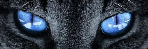 ManoJef's profile banner image