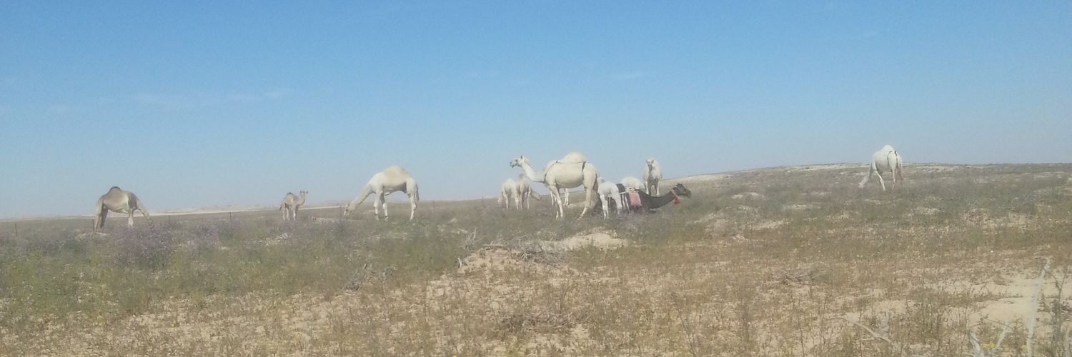 ابن صحراء نجد banner