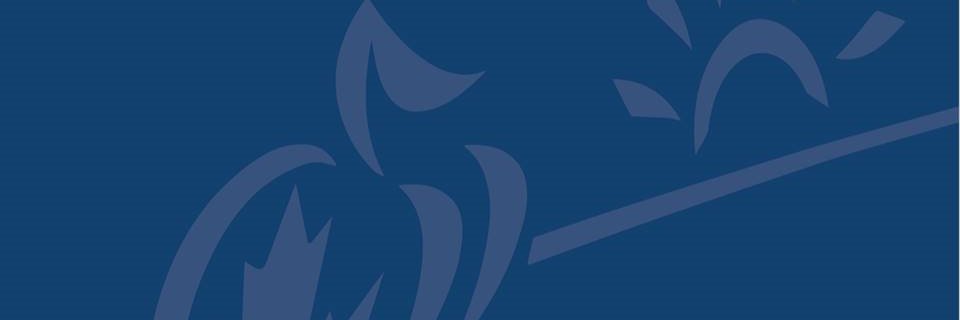 SCI_NL's profile banner image