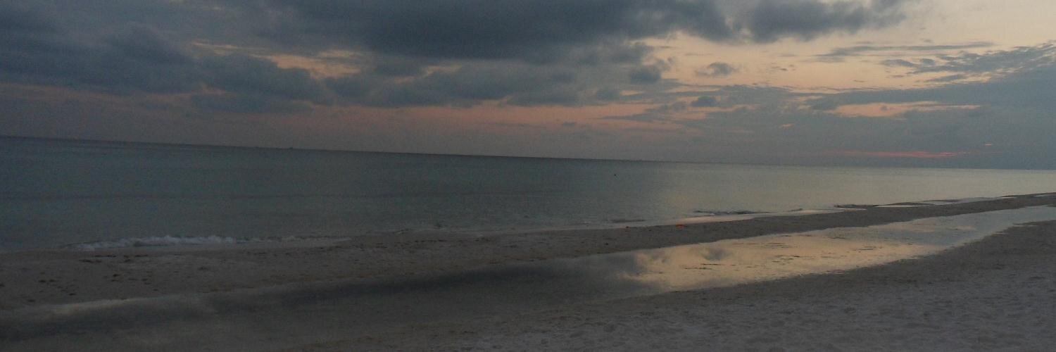 Farrel Vincent banner