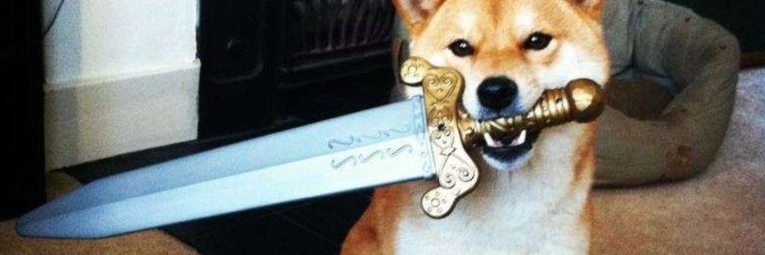 dark souls toilet's banner