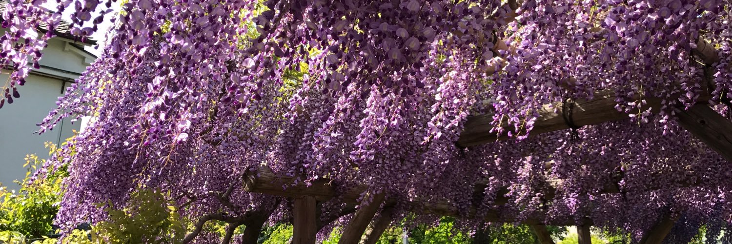 growupon's profile banner image