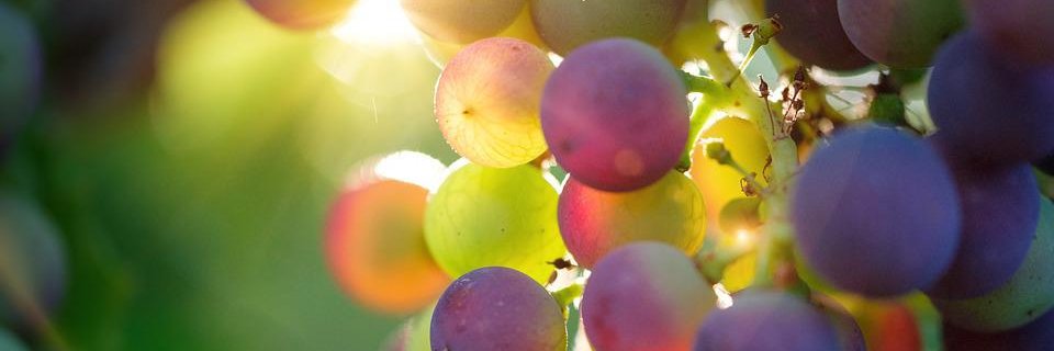 Ilja Croijmans banner