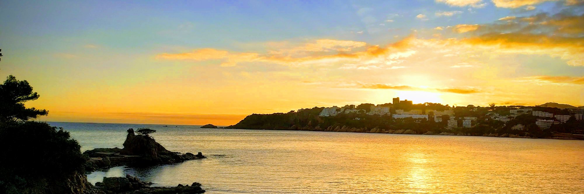 jmolicom's profile banner image