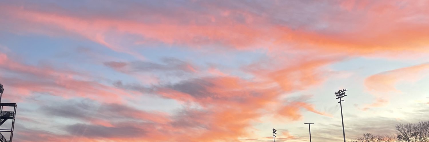 Natalie Weger's banner
