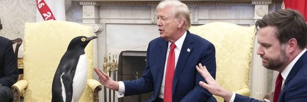 pmortera_ Profile Banner