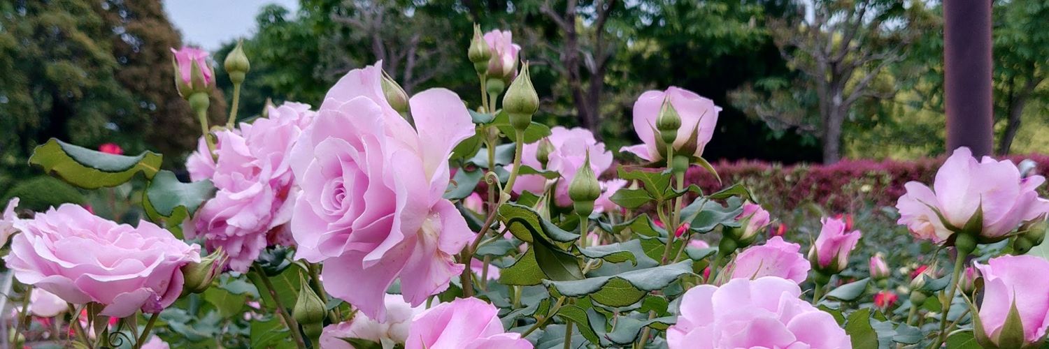 a2496043's profile banner image