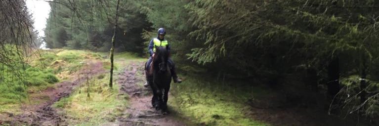 Stacey McCann banner