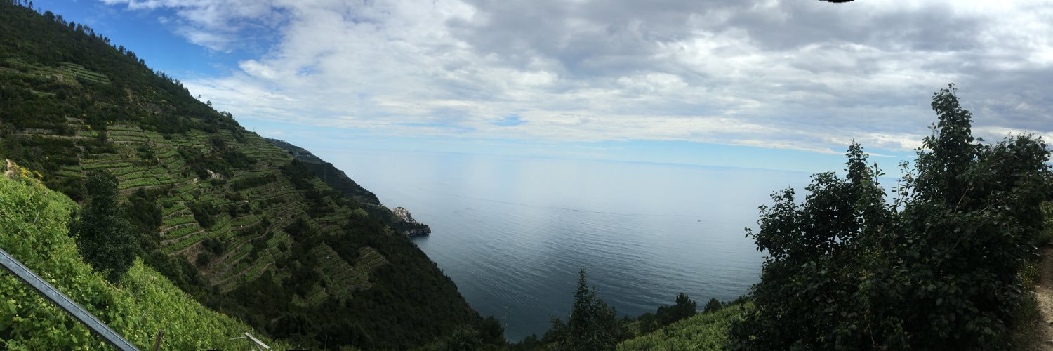 Ronald de Zanger banner