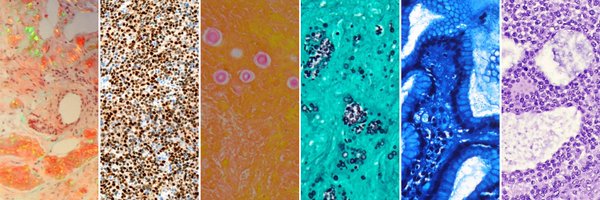 pathobot Profile Banner