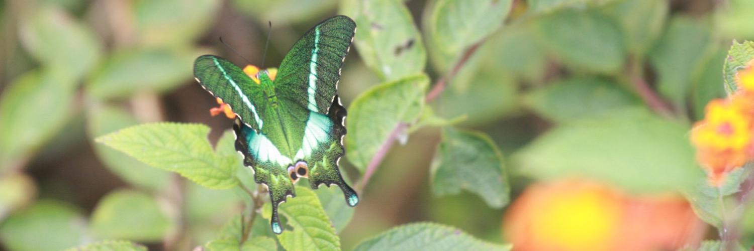 ExplorIndya's profile banner image