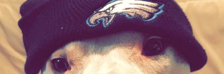 oshmoolley_'s profile banner image