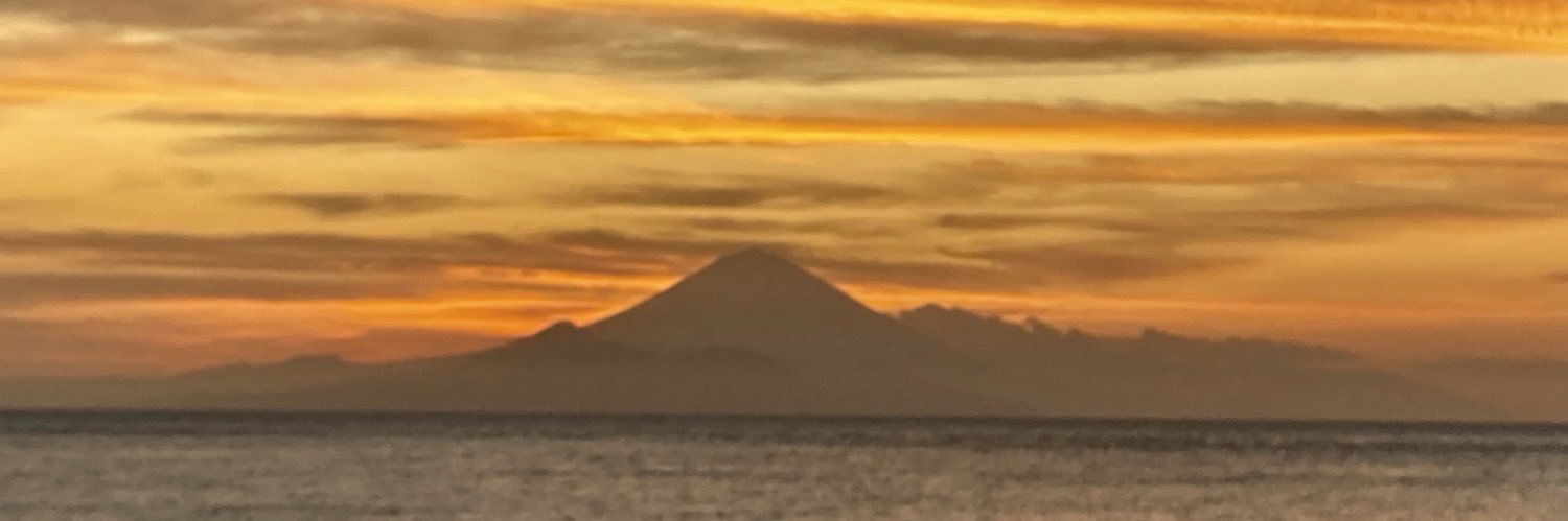 Caroline Killeavy banner