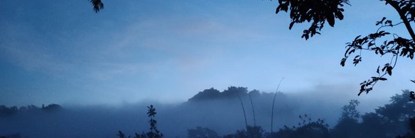 thisisacrazyguy Profile Banner