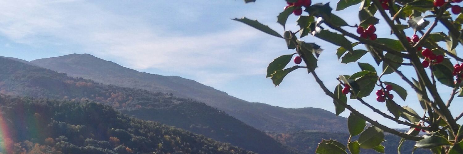Perdjean's profile banner image