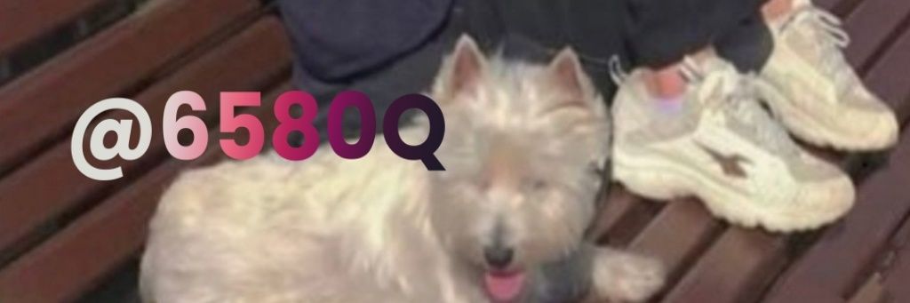 6580Q's profile banner image