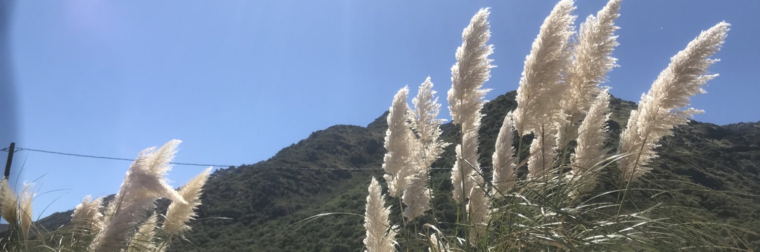 Serchio10's profile banner image