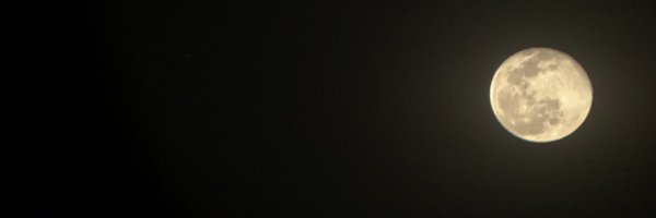 the__UT Profile Banner