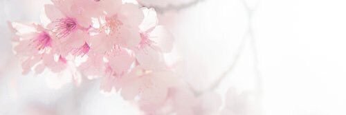 caseynolan_'s profile banner image