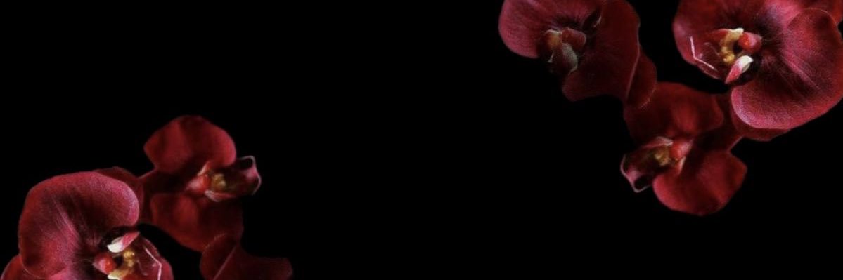 imcarogarcia's profile banner image