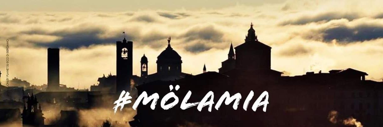 cellobonassoli's profile banner image