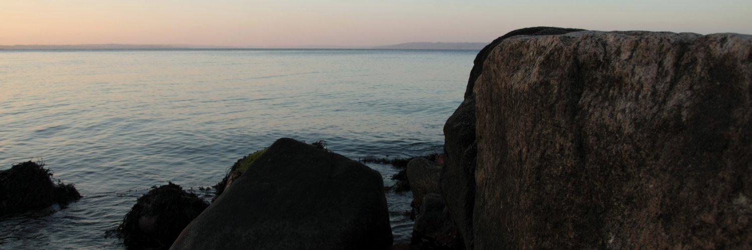 Ditis_Suzanne's profile banner image