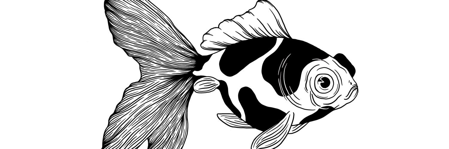 capucinechabin's profile banner image