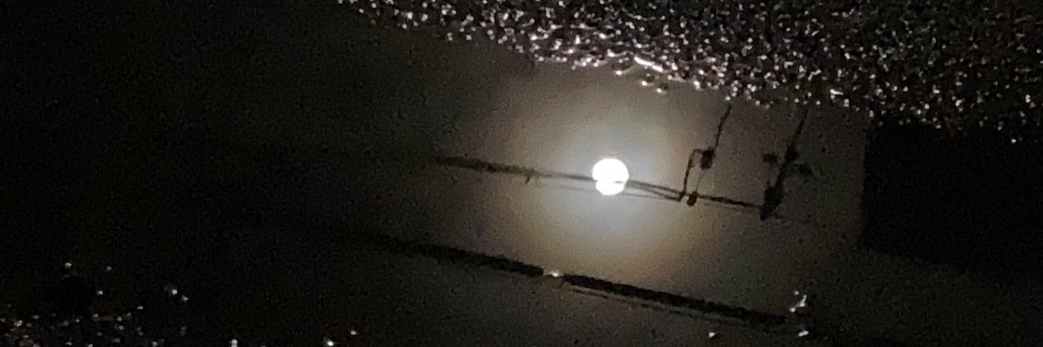 葉月 生(はづき　しょう) banner