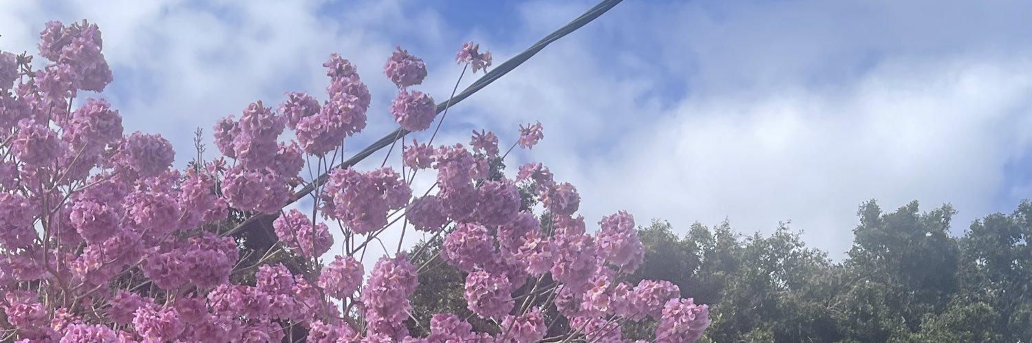 Ooooo banner