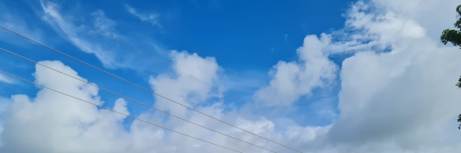 trexrus's profile banner image