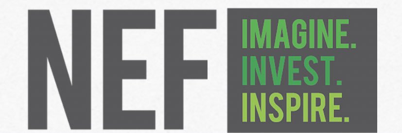 Novi Educational Foundation banner