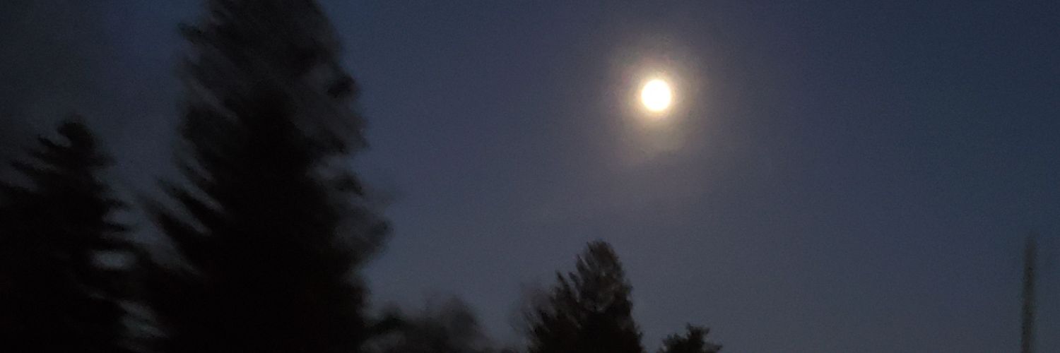 BENITOVEGA3's profile banner image