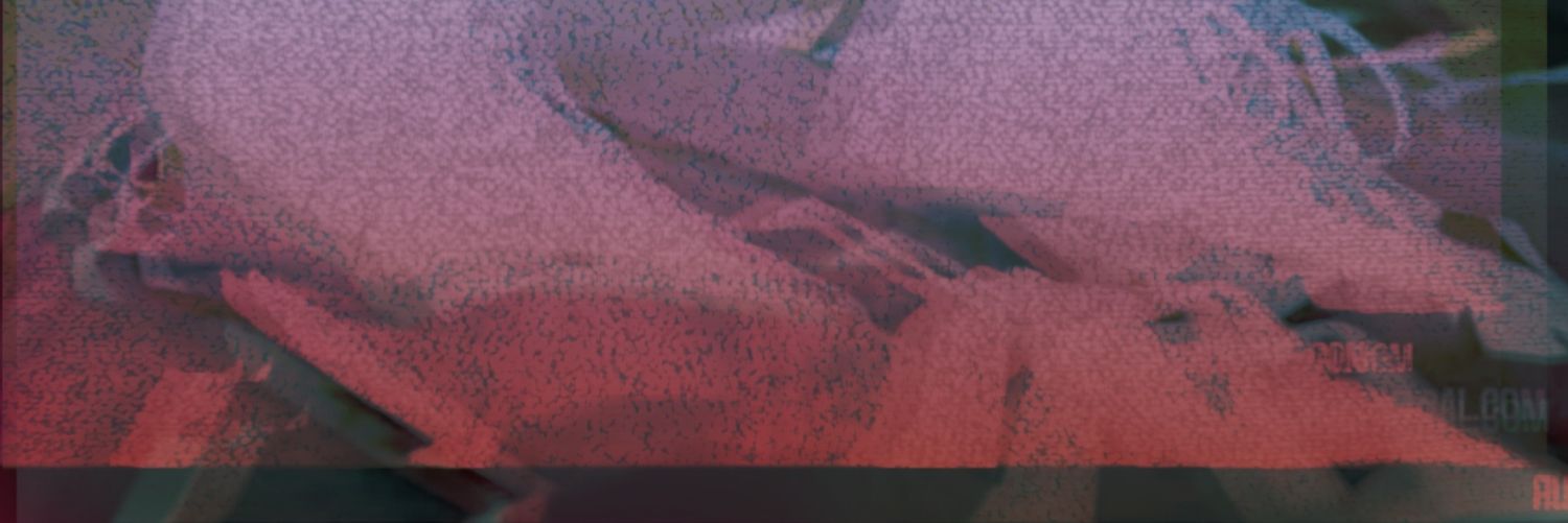 bunny banner