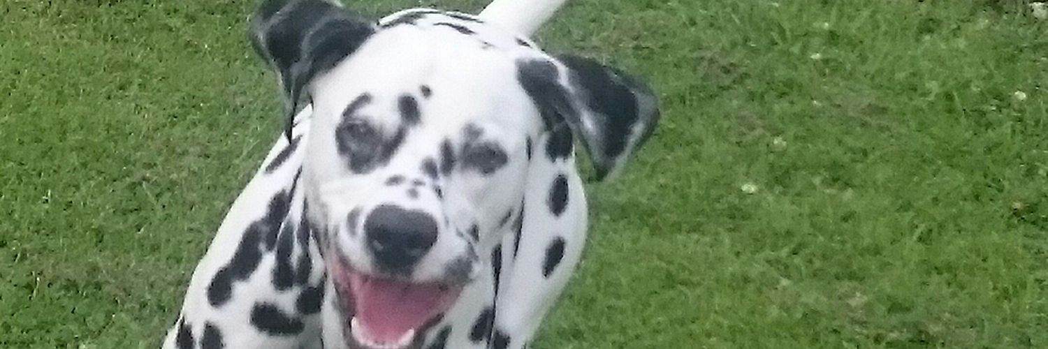 louisecussick1's profile banner image