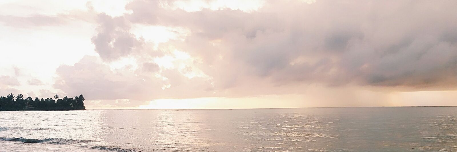 Wallacebatisty's profile banner image