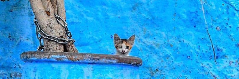 🇸🇦.. BD.Riq ..🇸🇦 banner