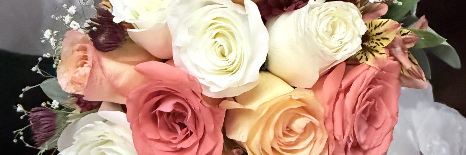 alislopz05's profile banner image
