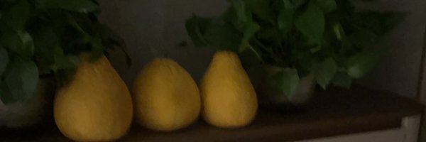 LuoSiPredator Profile Banner