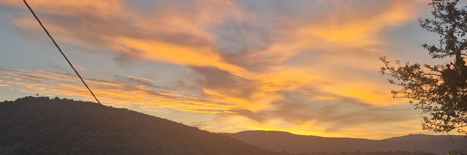 Mariecln__'s profile banner image