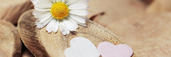 growthspark Profile Banner