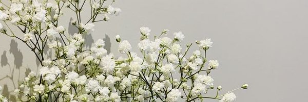 jamekatu Profile Banner