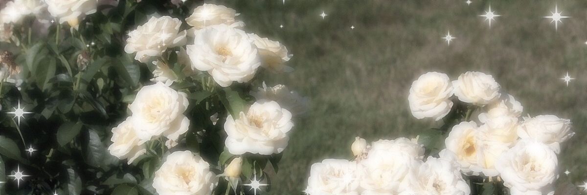 Anngelsjm's profile banner image