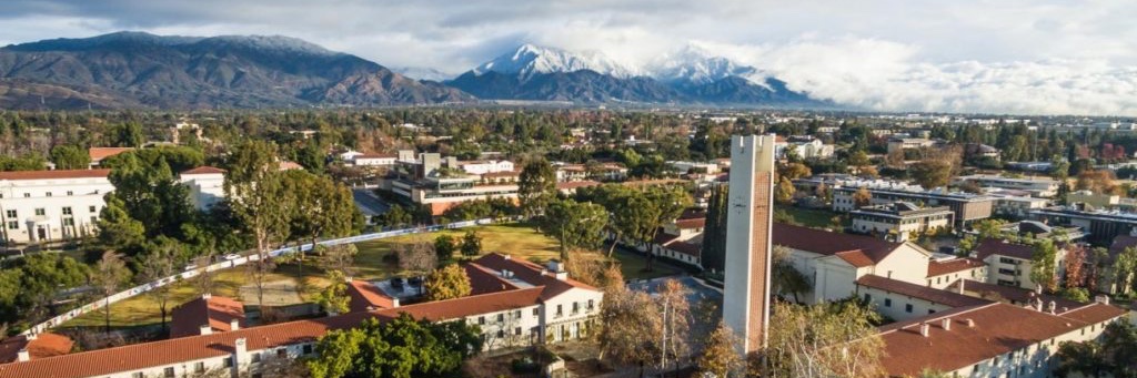 Dr. Jessie Stern banner