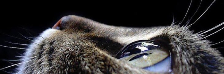 bsramustafaoglu's profile banner image