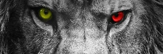 Montanaa1990's profile banner image