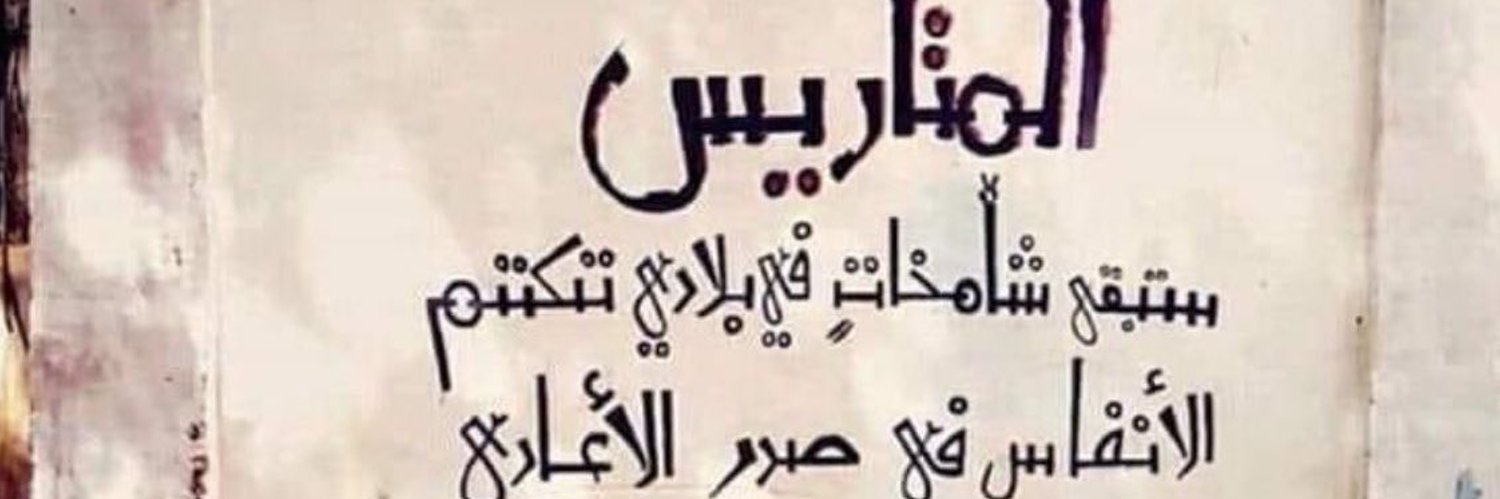 any1_1's profile banner image