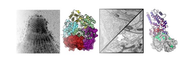 reeselab1 Profile Banner